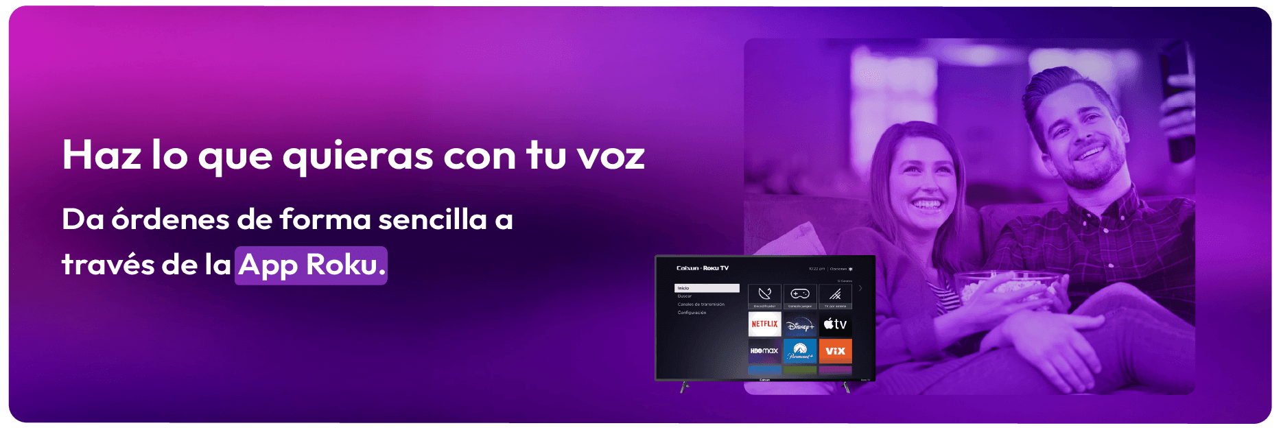 Paginas_Roku_desarrollo-03